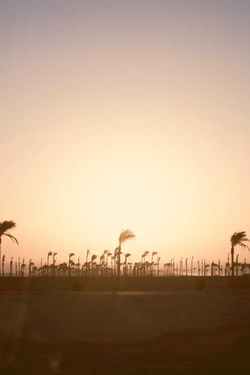 Testing and Verification